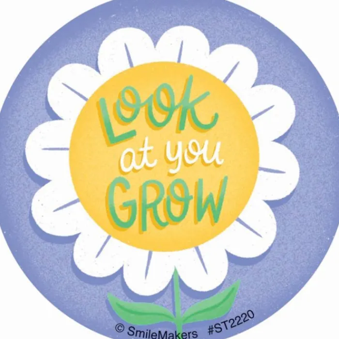 Stickers | Other Fun Stickers<SmileMakers Choose Joy Stickers - Stickers From