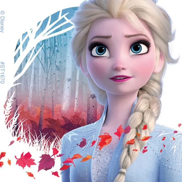 Disney Stickers | Character Stickers<SmileMakers Frozen II Stickers - Stickers from