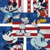 Fourth Of July | Disney Stickers<SmileMakers Mickey Mouse 4th of July Stickers - Character Stickers from