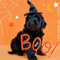Halloween | Character Stickers<SmileMakers Rachael Hale Boo! Crew Stickers - Stickers from
