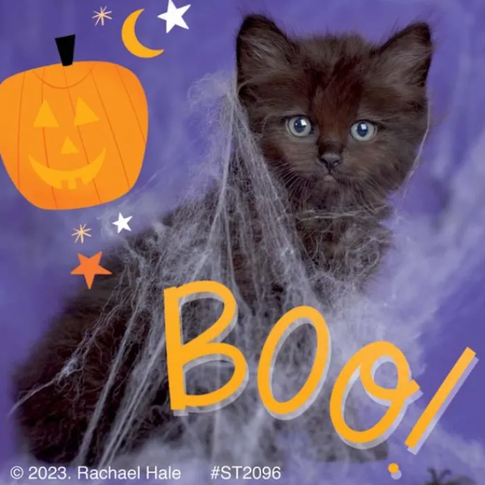 Halloween | Character Stickers<SmileMakers Rachael Hale Boo! Crew Stickers - Stickers from