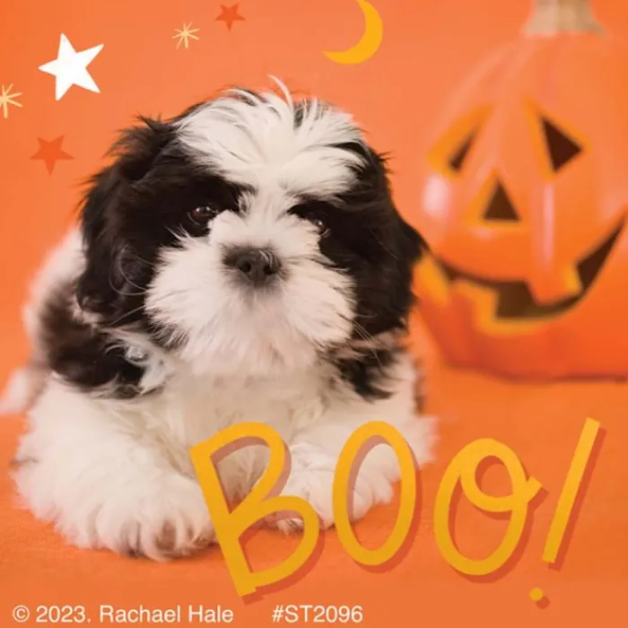 Halloween | Character Stickers<SmileMakers Rachael Hale Boo! Crew Stickers - Stickers from