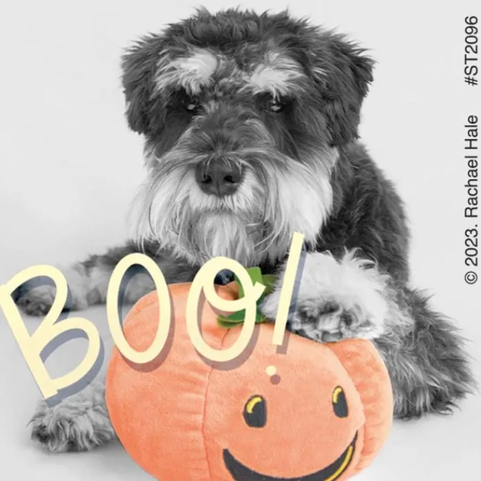 Halloween | Character Stickers<SmileMakers Rachael Hale Boo! Crew Stickers - Stickers from
