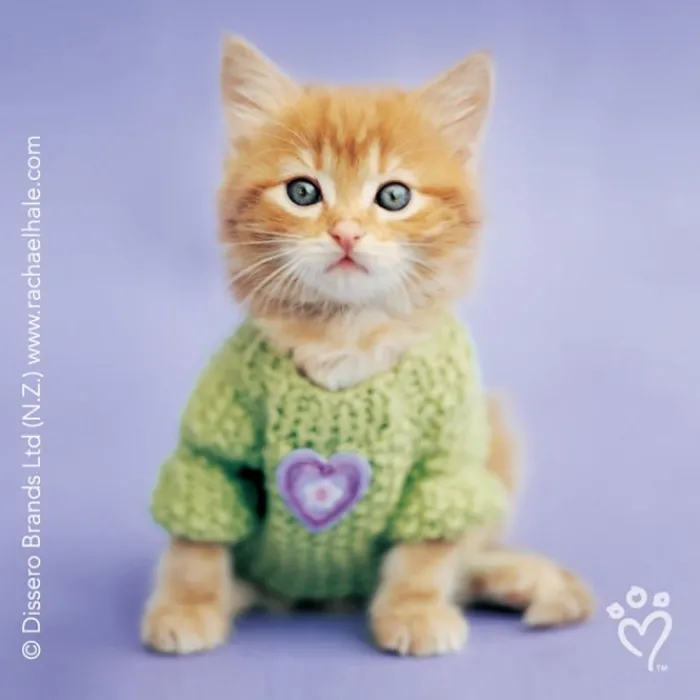 Character Stickers<SmileMakers Rachael Hale Cats Stickers - Character Stickers from