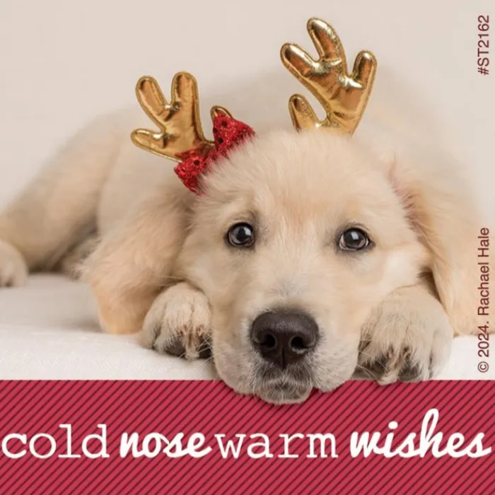 Christmas | Character Stickers<SmileMakers Rachael Hale Holiday Stickers - Stickers from