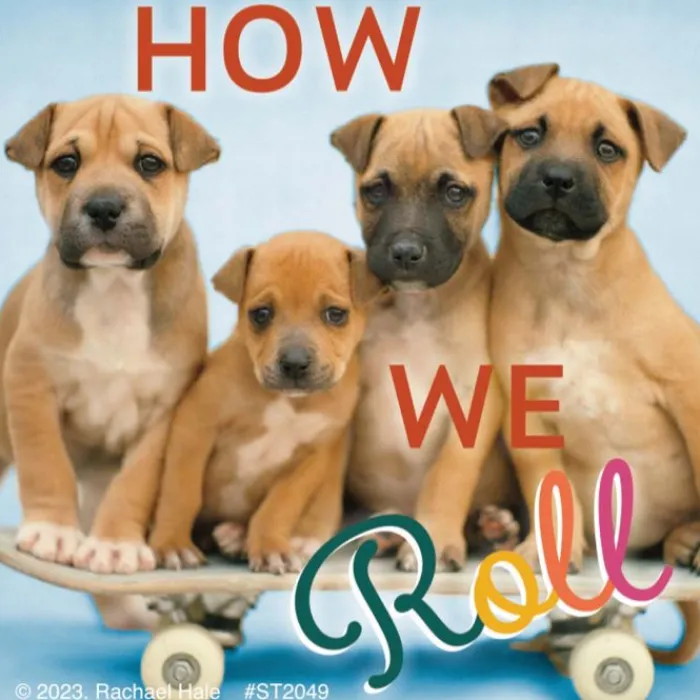 Character Stickers<SmileMakers Rachael Hale Let's Pawty Stickers - Stickers from