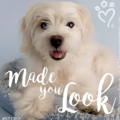 Patient Stickers | Character Stickers<SmileMakers Rachael Hale Made You Look Stickers - Stickers from