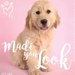 Patient Stickers | Character Stickers<SmileMakers Rachael Hale Made You Look Stickers - Stickers from