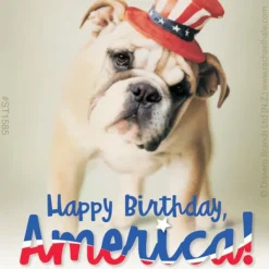 Fourth Of July | Character Stickers<SmileMakers Rachael Hale Patriotic Stickers -Stickers from