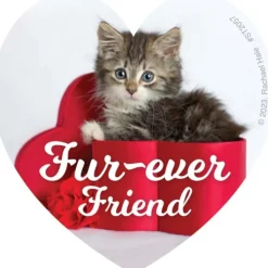 Valentine's Day | Character Stickers<SmileMakers Rachael Hale Smitten Stickers - Stickers from