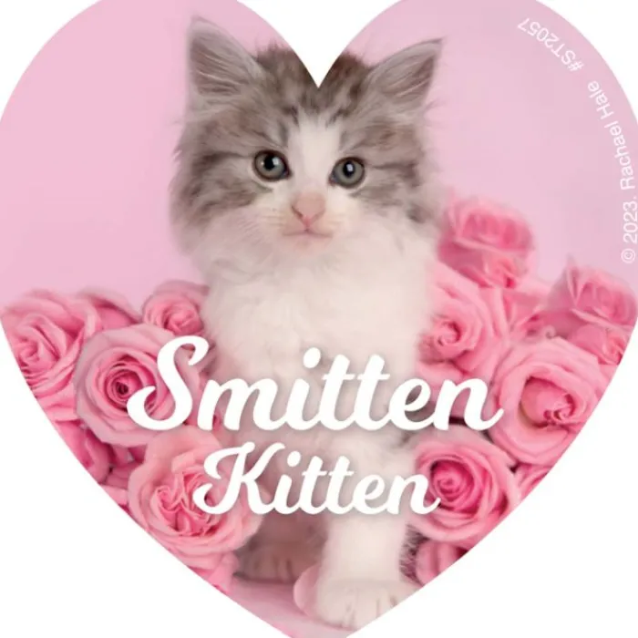 Valentine's Day | Character Stickers<SmileMakers Rachael Hale Smitten Stickers - Stickers from