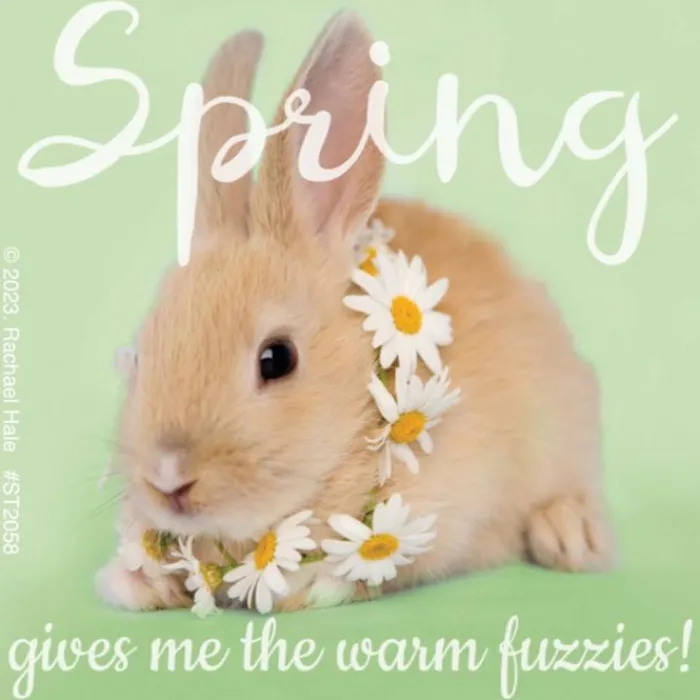 Seasons | Character Stickers<SmileMakers Rachael Hale Spring Fuzzies Stickers - Stickers from