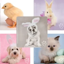 Easter | Character Stickers<SmileMakers Rachael Hale Spring Stickers - Rachael Hale from