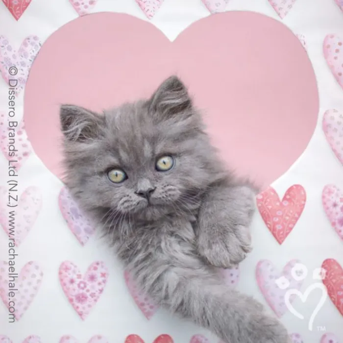 Valentine's Day | Character Stickers<SmileMakers Rachael Hale® Valentine Stickers - Stickers from