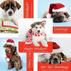 Christmas | Character Stickers<SmileMakers Rachel Hale Dogs Christmas Stickers - Holiday Stickers -