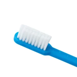 Toothbrushes | Dental Practice Essentials<SmileCare ™ Adult Pre-Pasted Disposable Toothbrushes - Toothbrushes from SmileMakers