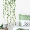 Wall Decals<SmileMakers String Of Pearls Vine - Office Décor from