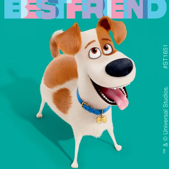Character Stickers<SmileMakers The Secret Life of Pets 2 Stickers - Stickers - from