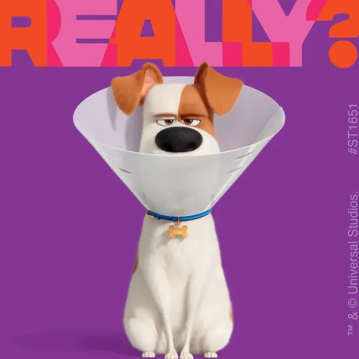 Character Stickers<SmileMakers The Secret Life of Pets 2 Stickers - Stickers - from
